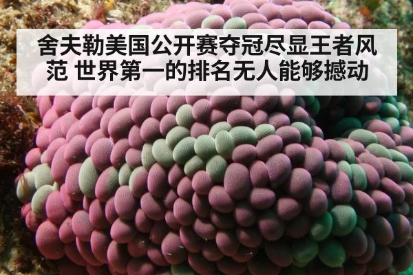舍夫勒美国公开赛夺冠尽显王者风范 世界第一的排名无人能够撼动